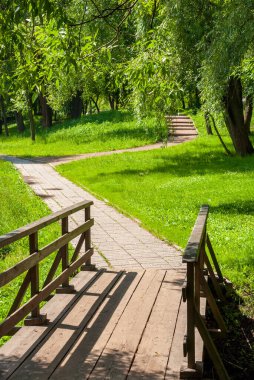 Şehir parkının bahar manzarası. Yeşil çimenler, ağaçlar ve yollar.