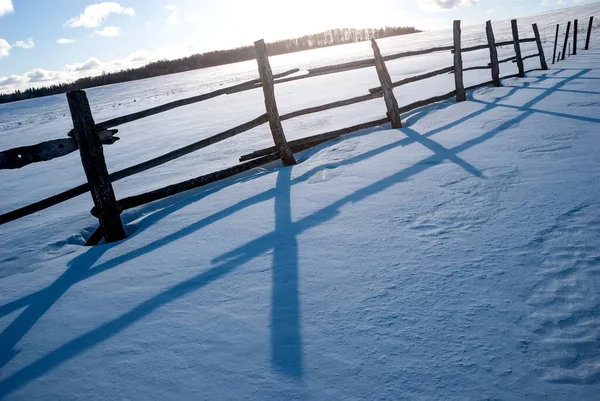 Paysage Hivernal Clôture Dans Les Flots Neige Sur Fond Forêt — Photo