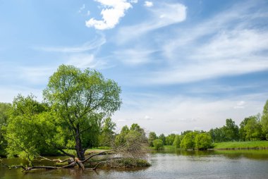 Yaz manzarası. Çayıra, gölete ve ağaçlara karşı mavi gökyüzünün arka planında güzel bulut yığınları.