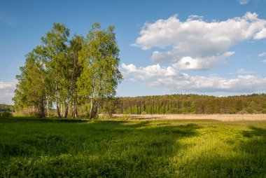Yaz manzarası. Güzel bulut yığınlarıyla mavi gökyüzüne karşı çayır ve ağaçlar..