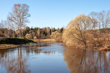 Bahar manzarası. Nehir, berrak mavi gökyüzü ve yapraksız ağaçlardan taçlar..
