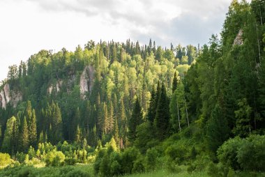 Sibirya 'nın manzaraları. Kiya nehri üzerinde ormanla kaplı dağlar. Kemerovo bölgesi. Rusya 
