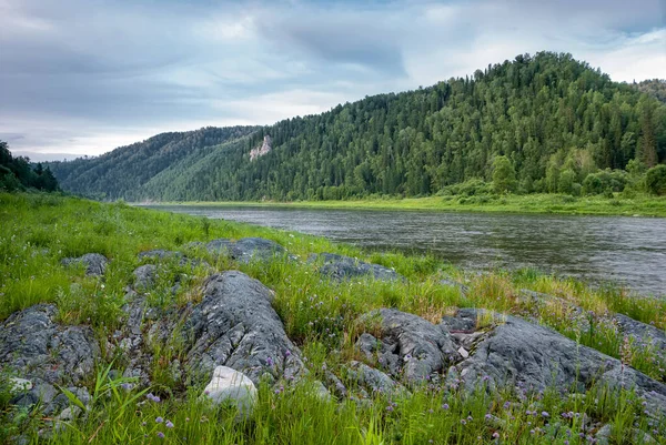 Пейзажи Сибири Вечерний Пейзаж Реке Кия Горы Лес Река Вода — стоковое фото