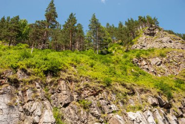 Sibirya 'nın manzaraları. Kiya nehri üzerinde ormanla kaplı dağlar. Kemerovo bölgesi. Rusya 
