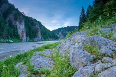 Sibirya 'nın manzaraları. Gün batımında akşam manzarası. Dağlar, orman, nehir ve su uzun vadede. Kemerovo bölgesi. Rusya 