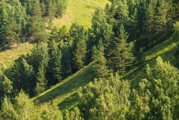 Paisagens Sibéria Montanhas Cobertas Floresta Rio Kiya Região Kemerovo Rússia — Fotografia de Stock