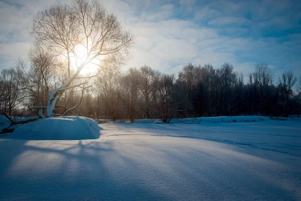 Paysage Hivernal Les Rayons Soleil Traversent Cime Arbre Ombres Tombent — Photo