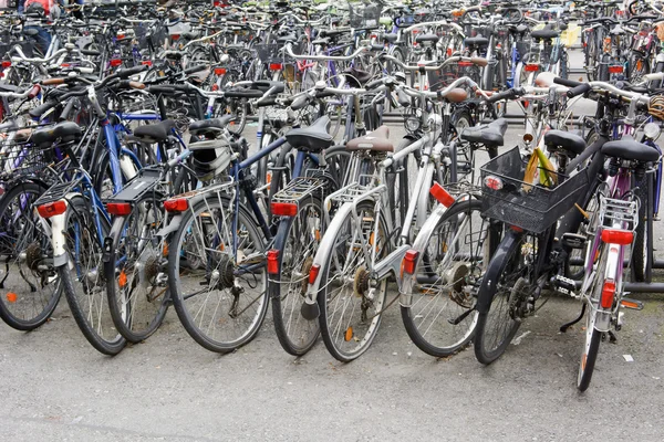 Vélos dans la ville — Photo