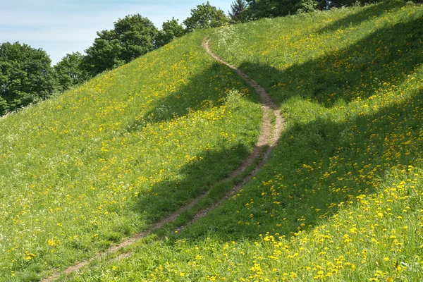 Prado de primavera con sendero — Foto de Stock