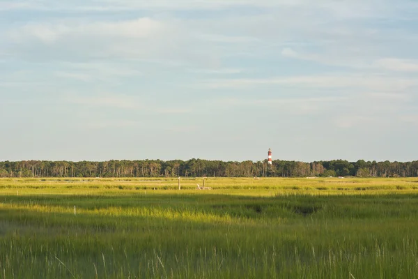 Jungfräuliche Feuchtgebiete und Leuchtturm — Stockfoto