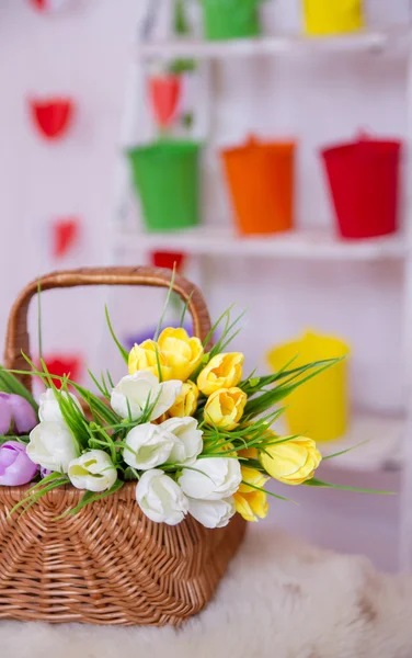 Mandje van tulpen in de lente decor — Stockfoto