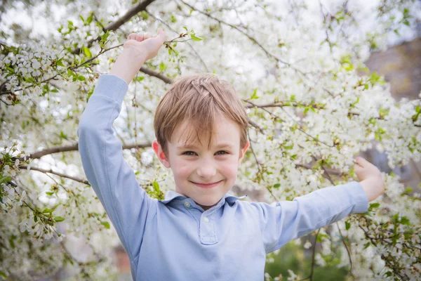 Söt pojke bland våren blommande träd — Stockfoto