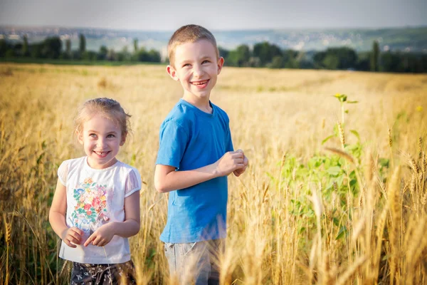 Brother and sister in golden wheat field — Stock Photo, Image