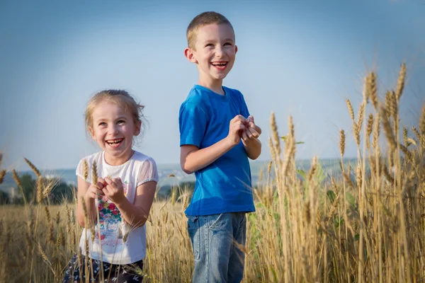 Frère et sœur parmi les champs de blé — Photo