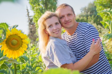 Ayçiçeği arasında mutlu çift