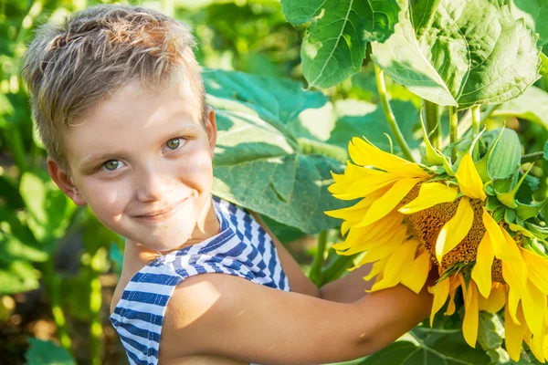 Lächelnder Junge zwischen Sonnenblumen — Stockfoto