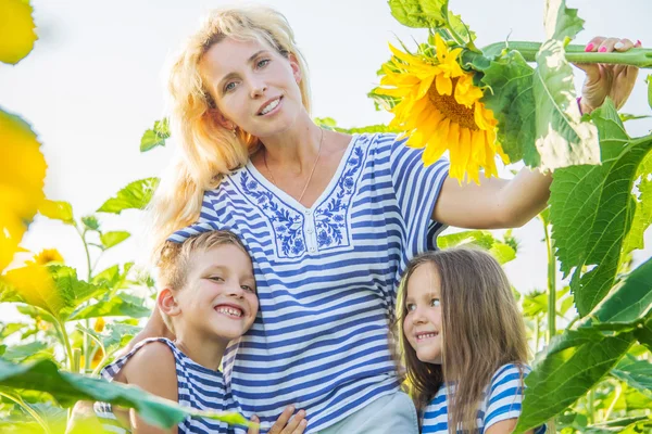 Mamma med två barn i solros fält — Stockfoto