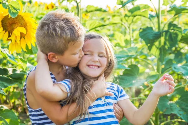 Girl and boy kissing among sunflowers — Stock Photo, Image