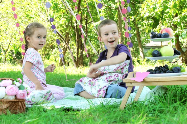 Schwester und Bruder beim Picknick — Stockfoto