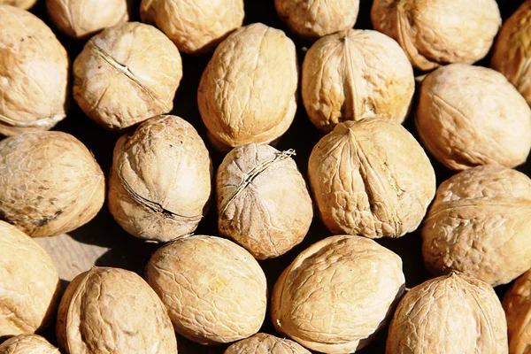 Pile of walnuts — Stock Photo, Image