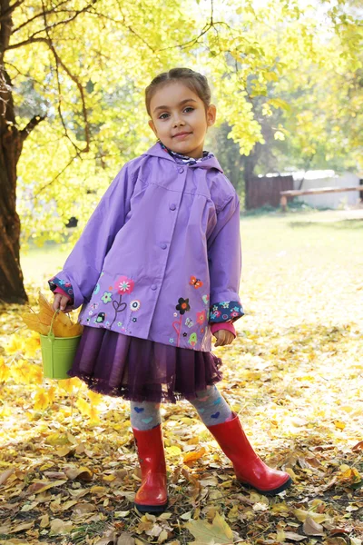 Girl with basket and leaves in autumn park — Stock Photo, Image