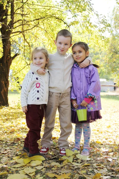 Sister and brother  in   autumn — Stock Photo, Image