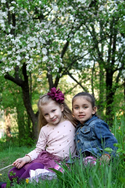 Girls sitting under tree — Stock Photo, Image