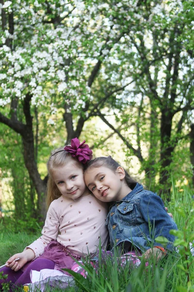 Girls sitting under tree — Stock Photo, Image