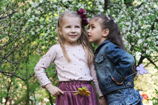 Meninas compartilhando segredos — Fotografia de Stock