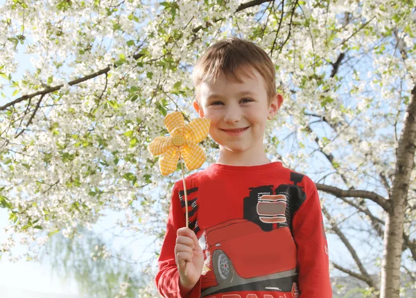 Pojke under våren träd — Stockfoto