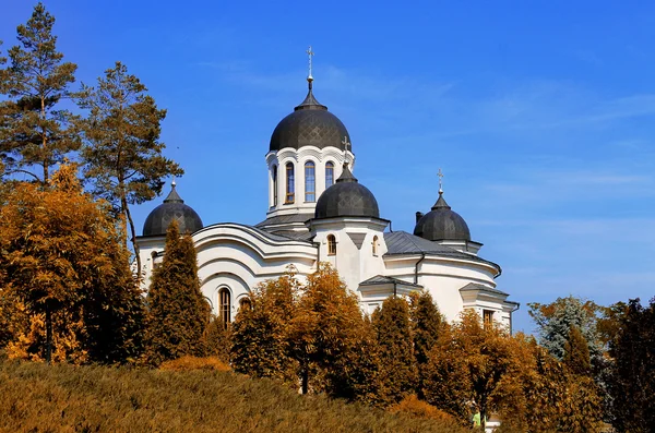 Curchi monastery among trees — Stock Photo, Image