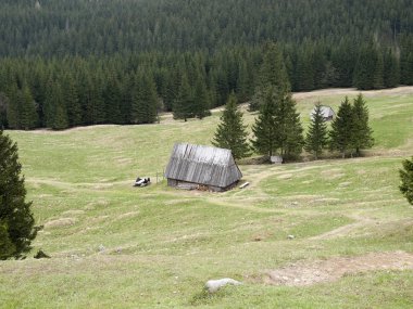 Tatra Dağları, Polonya