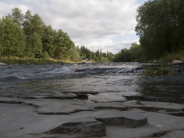 Bialy dunajec floden — Stockfoto