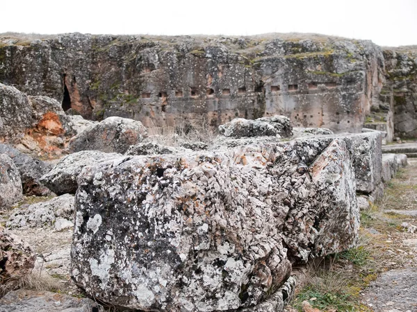 Γαλοπούλα — Φωτογραφία Αρχείου