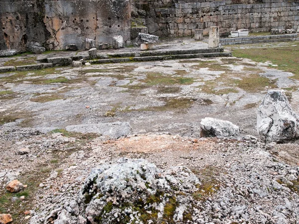 Γαλοπούλα — Φωτογραφία Αρχείου