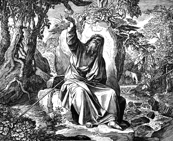 Elijah Fed tarafından Ravens 