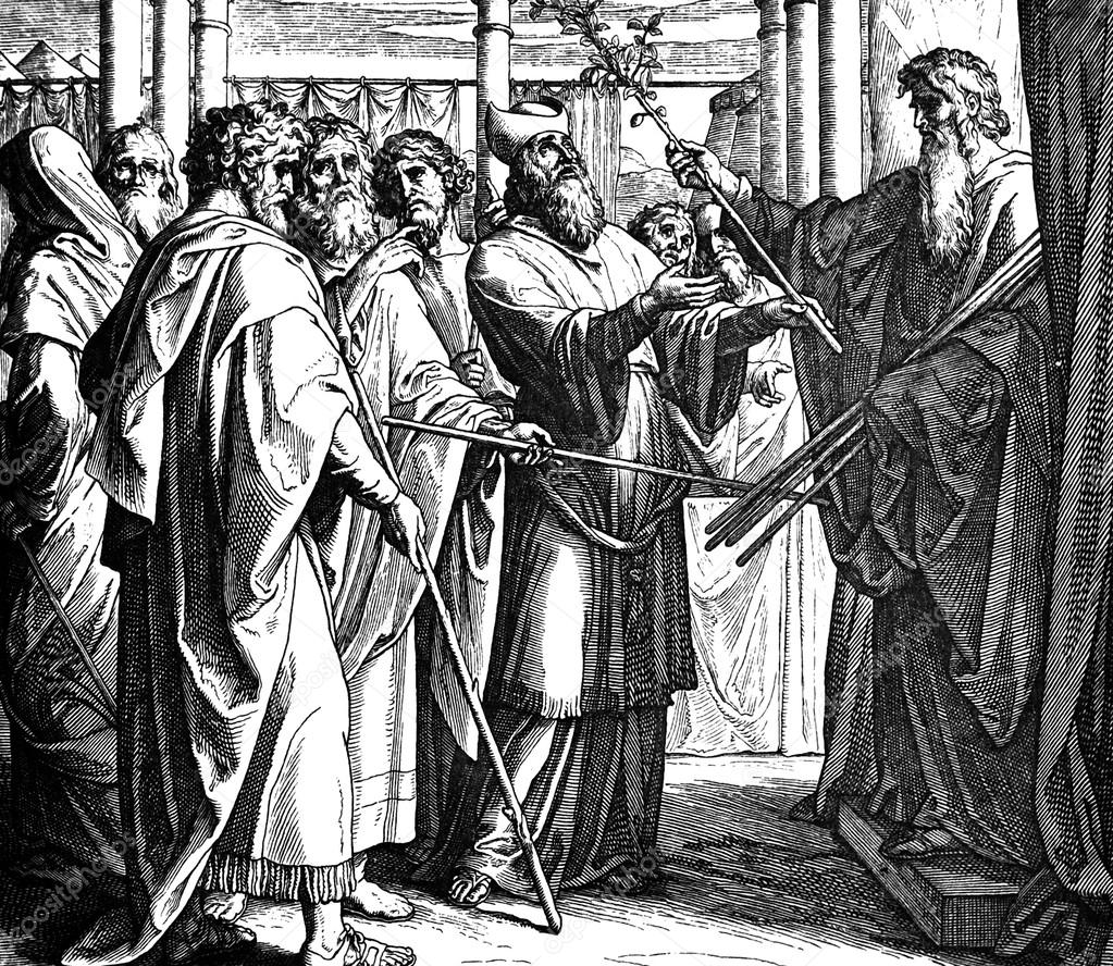 Buddings of Aaron's Staff Stock Photo by ©ruskpp 105716970