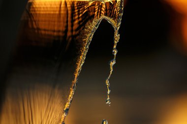 Su sıçramalarına güneşli bir gün batımı üzerinde