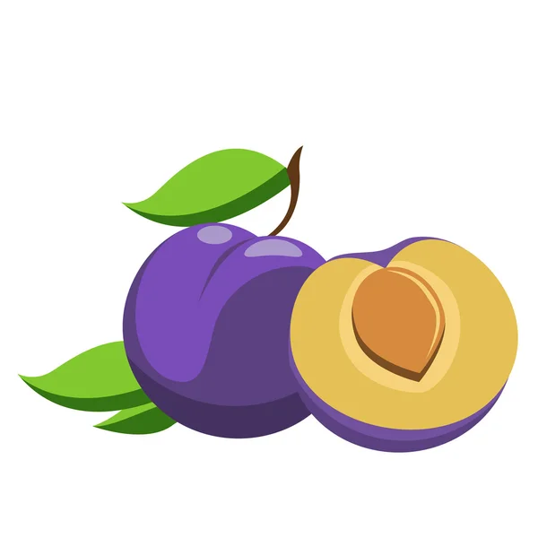 Plum whole and pieces — Stock Vector