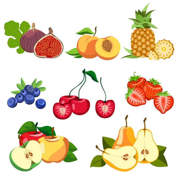 Set of fruits and berries. — Stock Vector