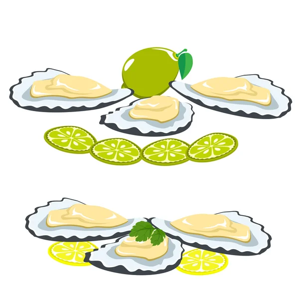 Frutos do mar, conchas de ostras, pedaços de limão e limão — Vetor de Stock