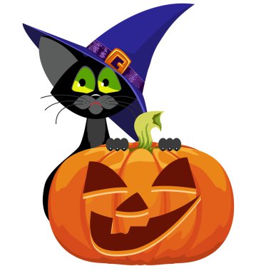 Balkabağı ve kedi. Cadılar Bayramı.