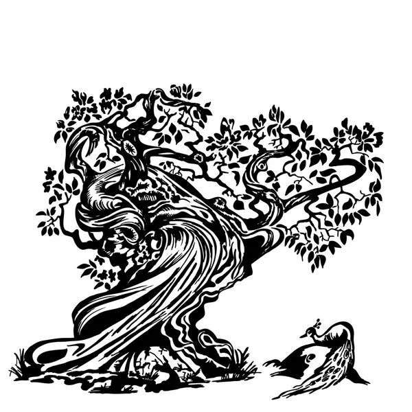 Paon sur l'arbre — Image vectorielle