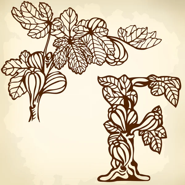 Figs on a branch brown F — Stock Illustration Figs on a branch brown F Vector Graphics