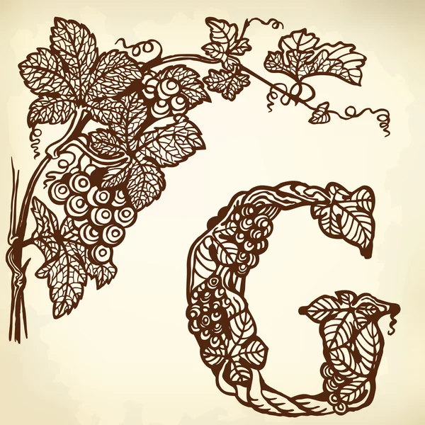 Grapes — Stock Illustration Grapes Royalty Free Stock Illustrations