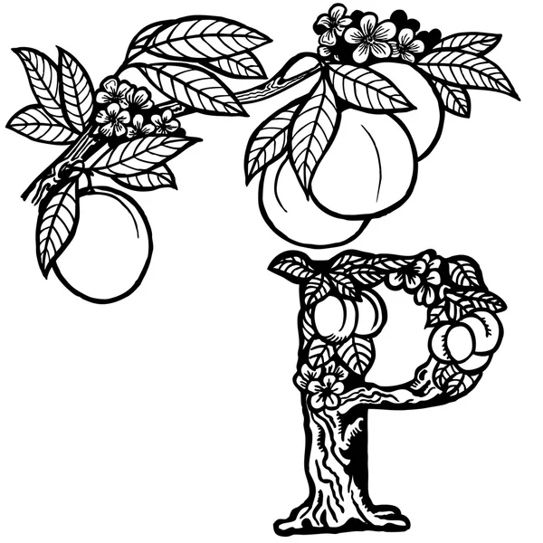 Персиковая ветвь литера P — стоковый вектор