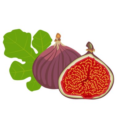 meyveler ve incir yaprakları