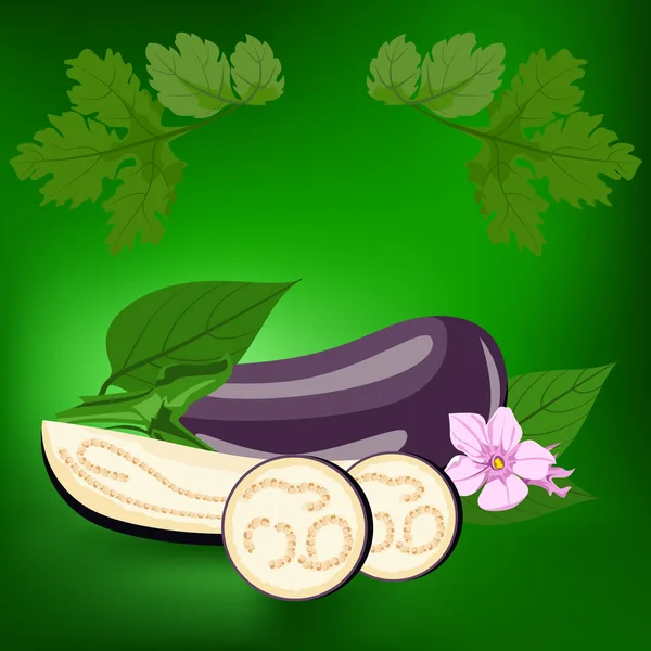 Eggplant. Healthy lifestile — Stock Vector