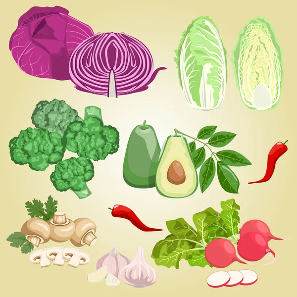 野菜のセット — ストックベクタ