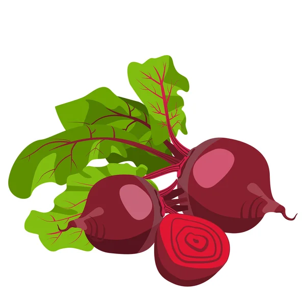 Beetroot. Healthy lifestile — Stock Vector